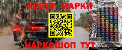 крисы Будённовск
