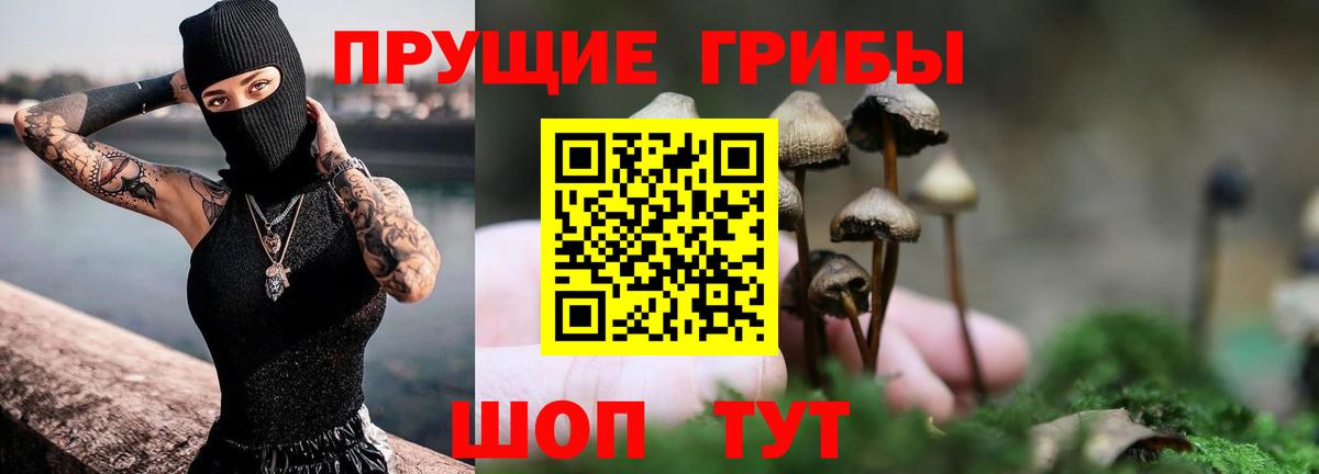 Кудымкар  Галлюциногенные грибы Psilocybine cubensis  Псилоцибиновые грибы GOLDEN TEACHER  хочу   Вход с VPN 